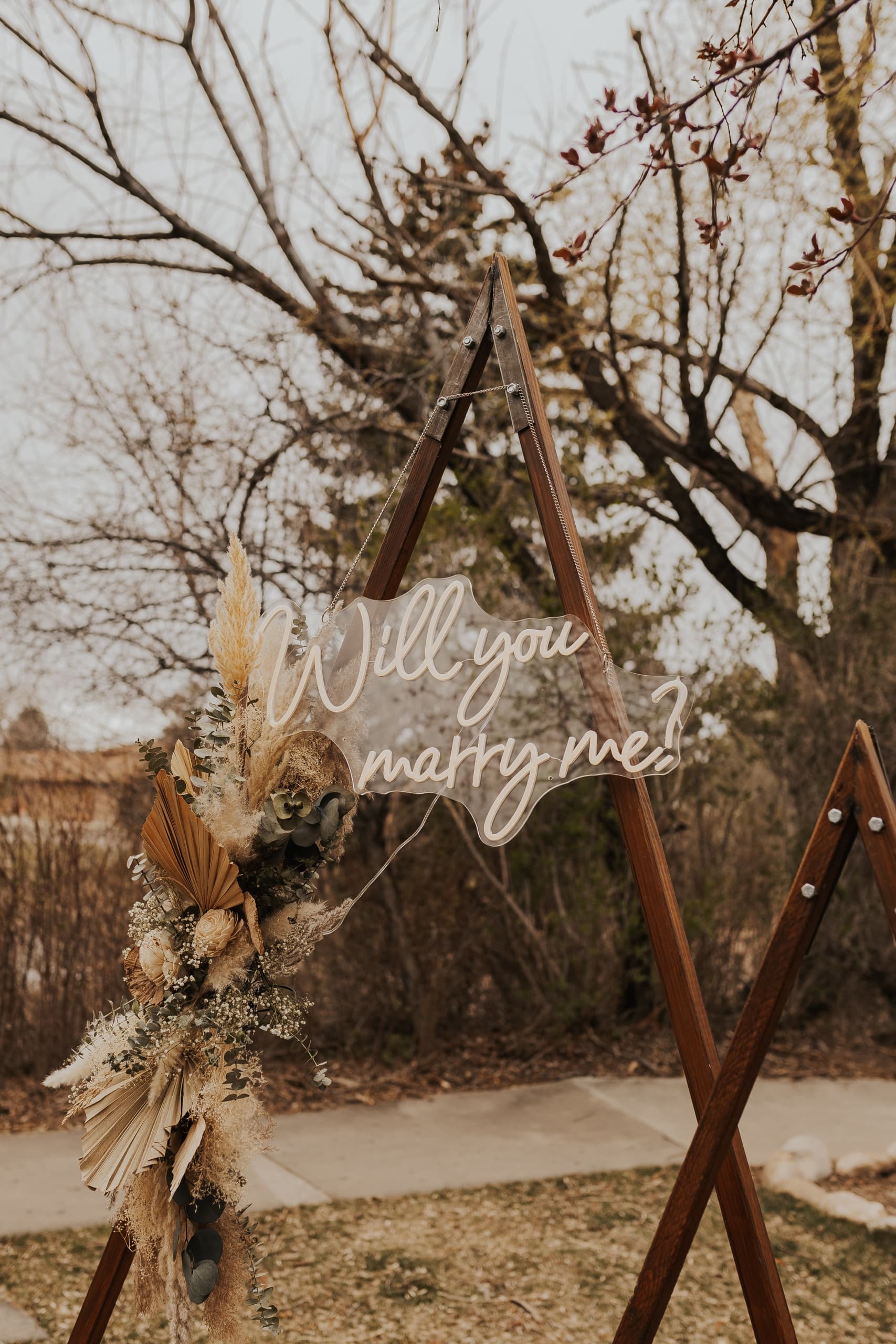 Proposal Picnic Package