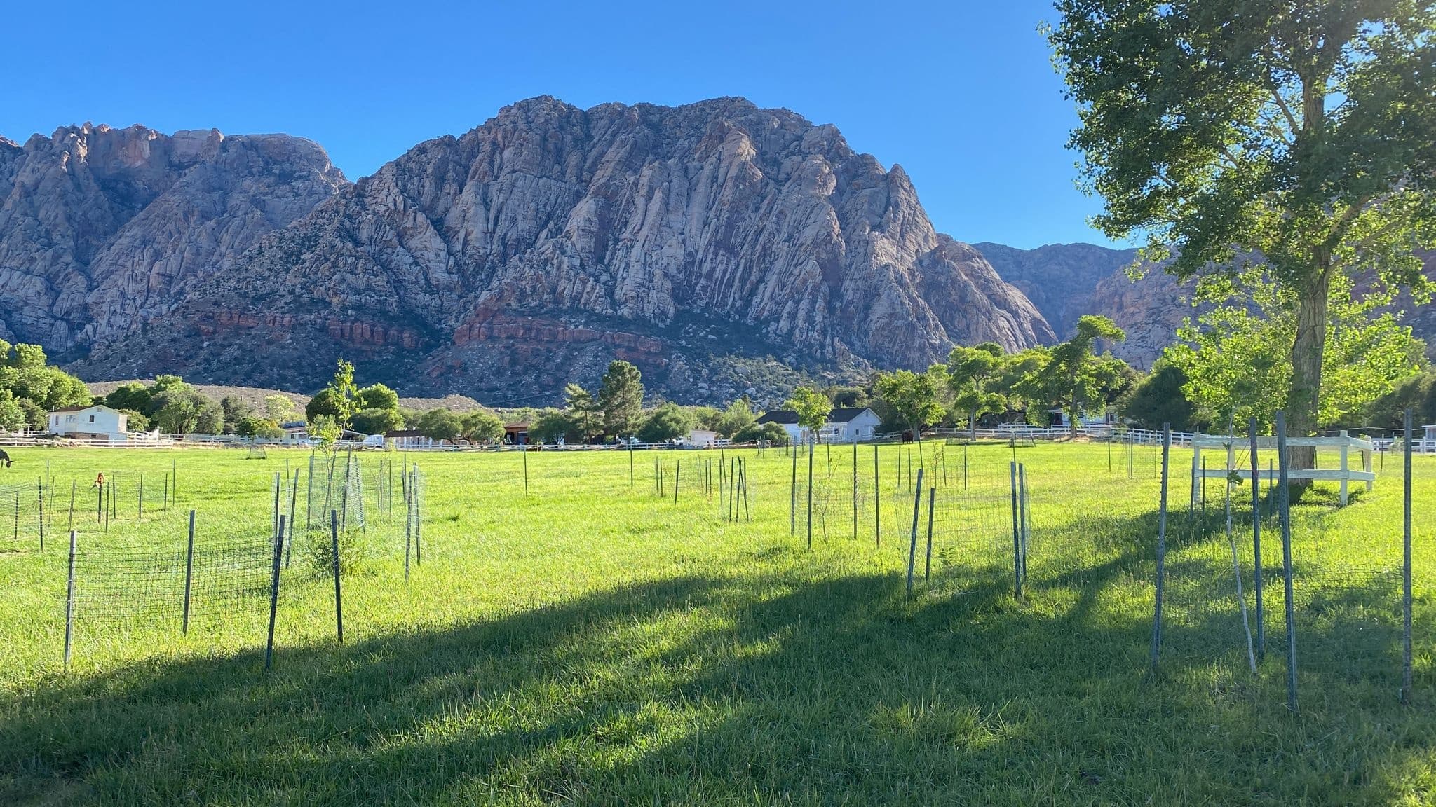 Spring Mountain Ranch - Hike and Ranch house visit