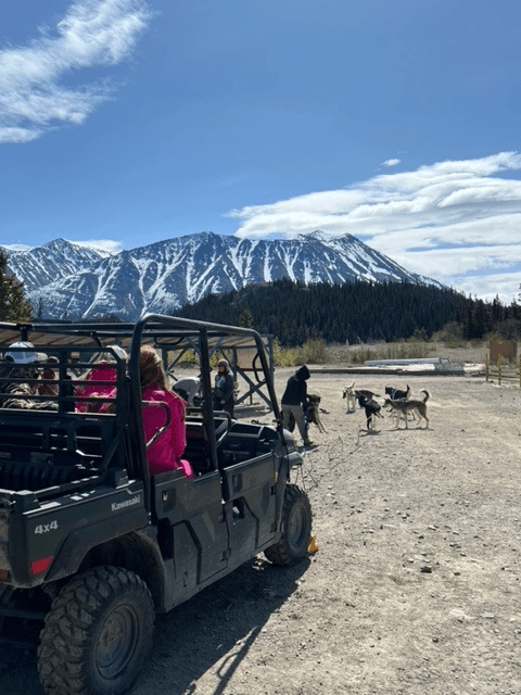 Dog Mushing and Yukon Experience