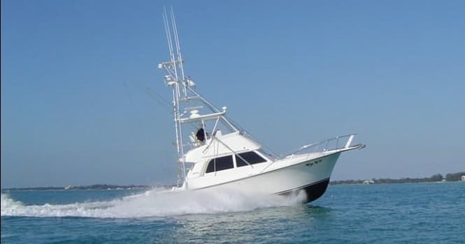 Half Day Charter