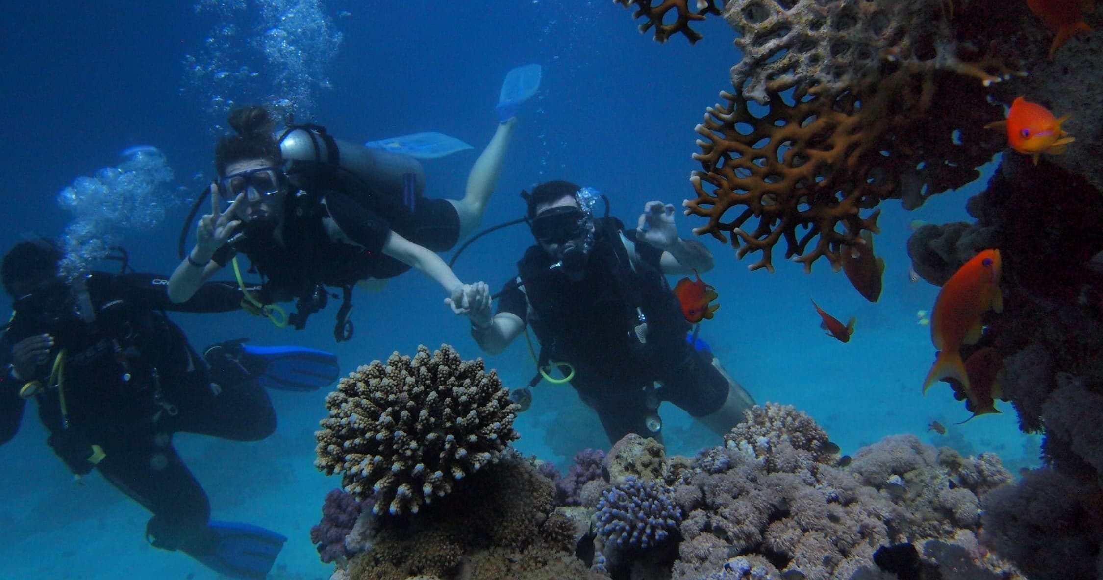 Scuba Charter