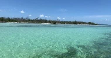 Grill & Chill Snorkel & Sandbar Charter