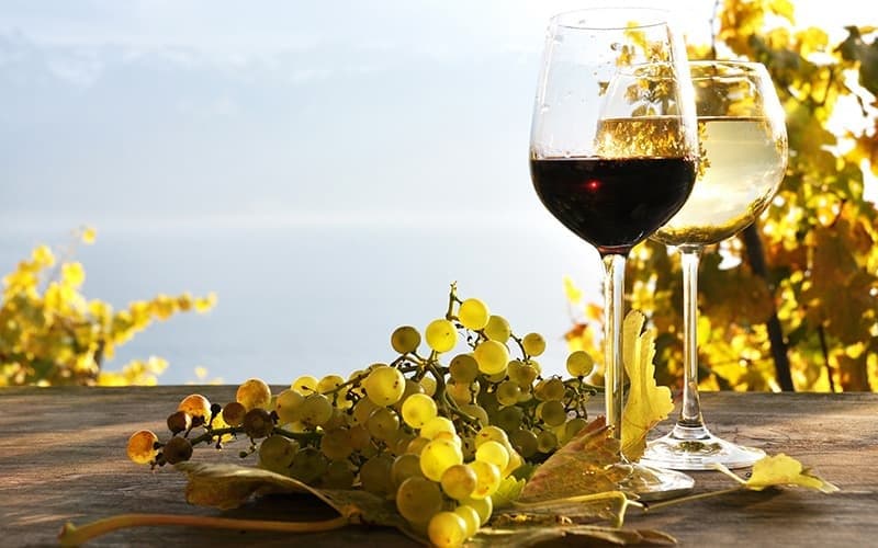 Wine Tour - Visit To Vineyard With Wine Tasting