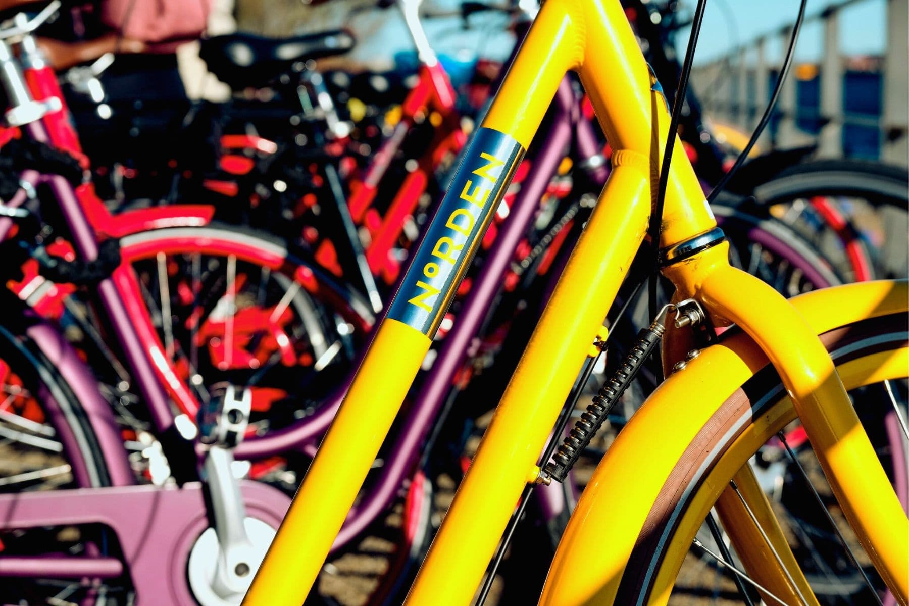1 Day Bike Rentals