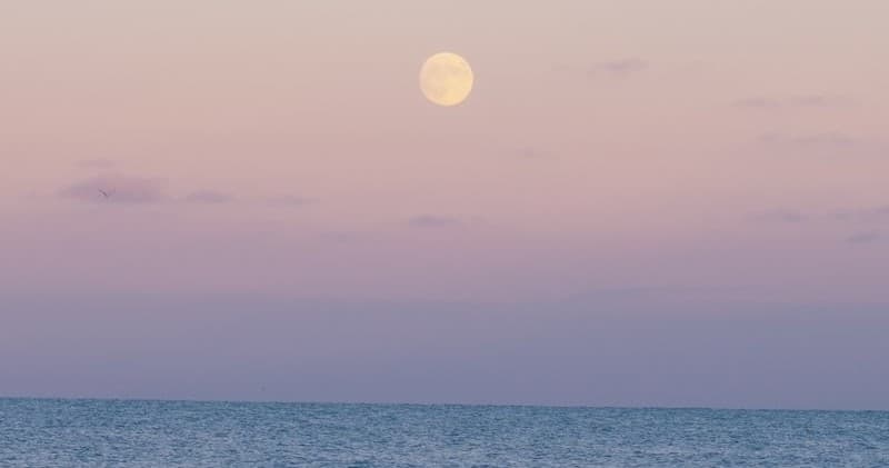 Moonlight Cruise Boat Tour