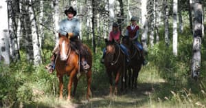 Park City Utah Horseback Riding