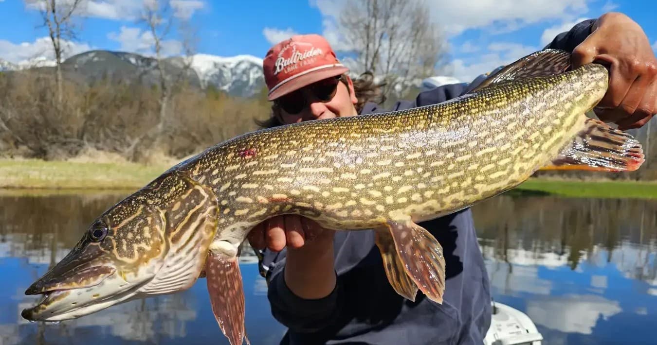 Five Hour Afternoon Drift Boat Fly Fishing