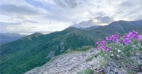 Summertime Guided Hike