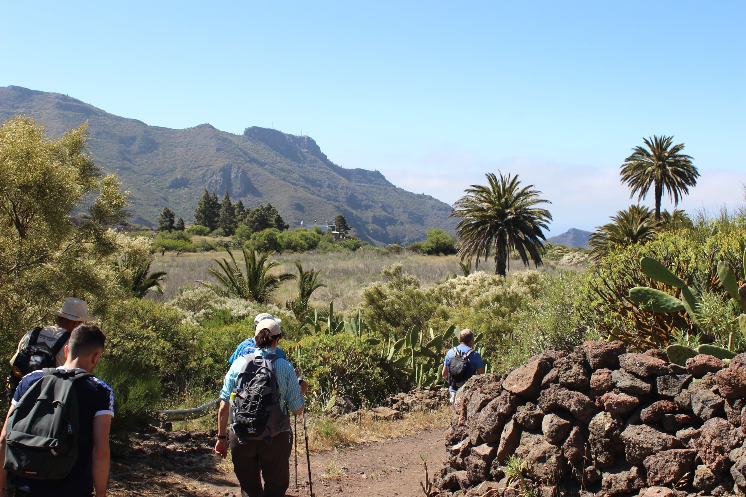 Senderismo por el antiguo Camino Real, Tenerife