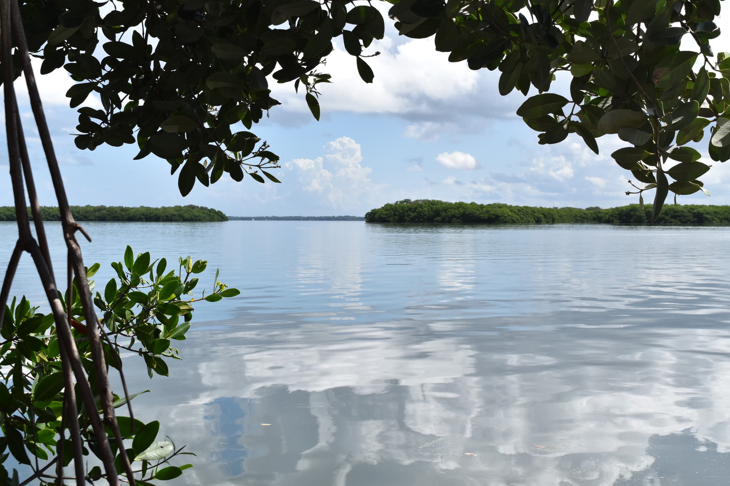 Bayfront Park Rentals