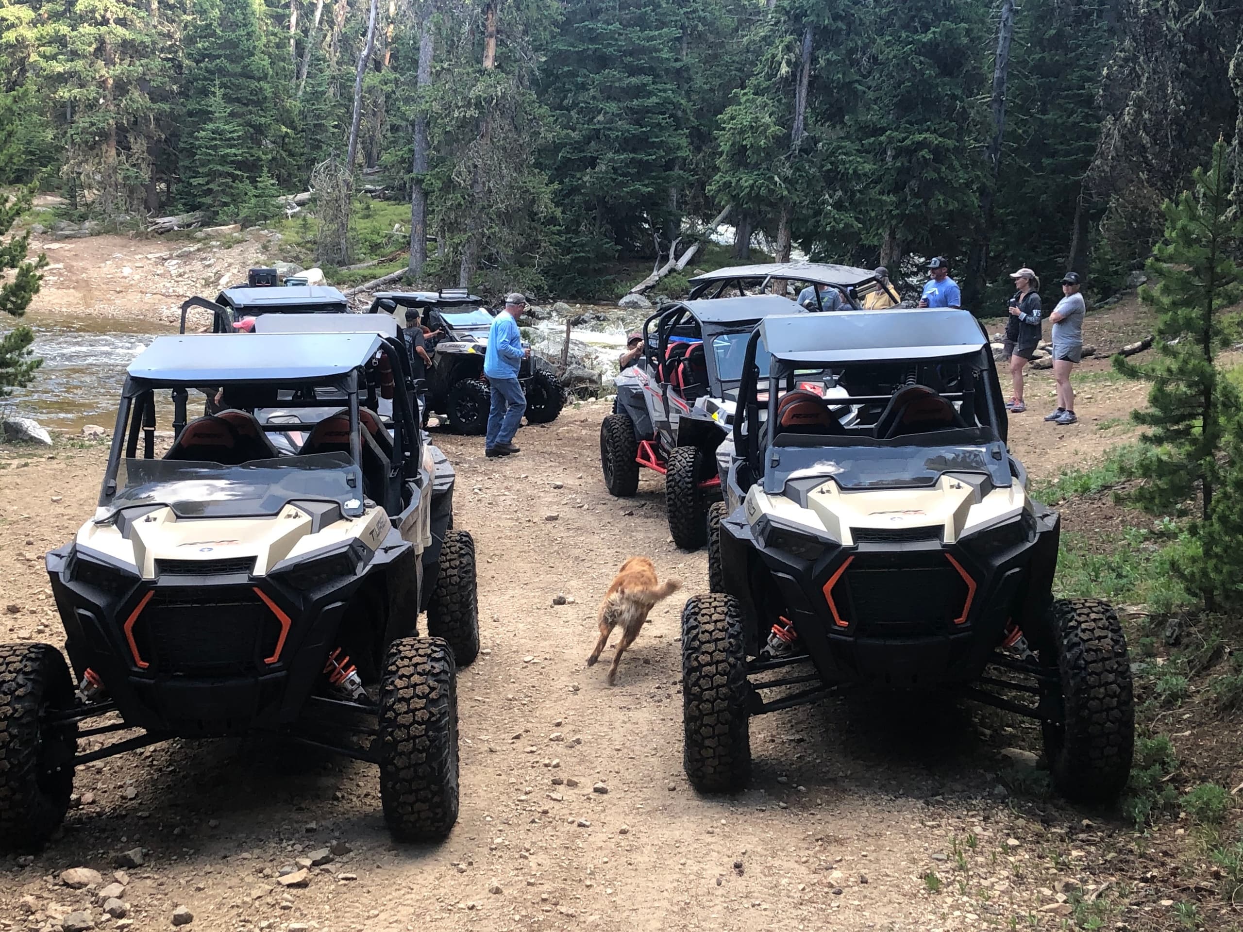 SXS Six Day Rental