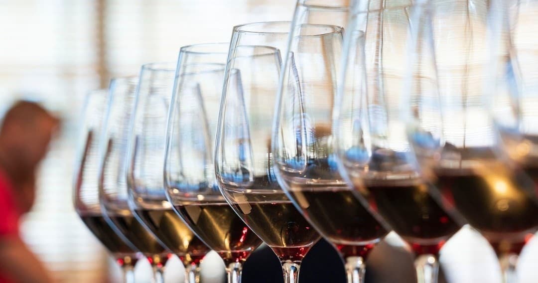 Douro Premium Tasting Tour