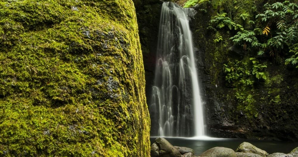 The Origins: Hike & Waterfall Tour in Nordeste, São Miguel