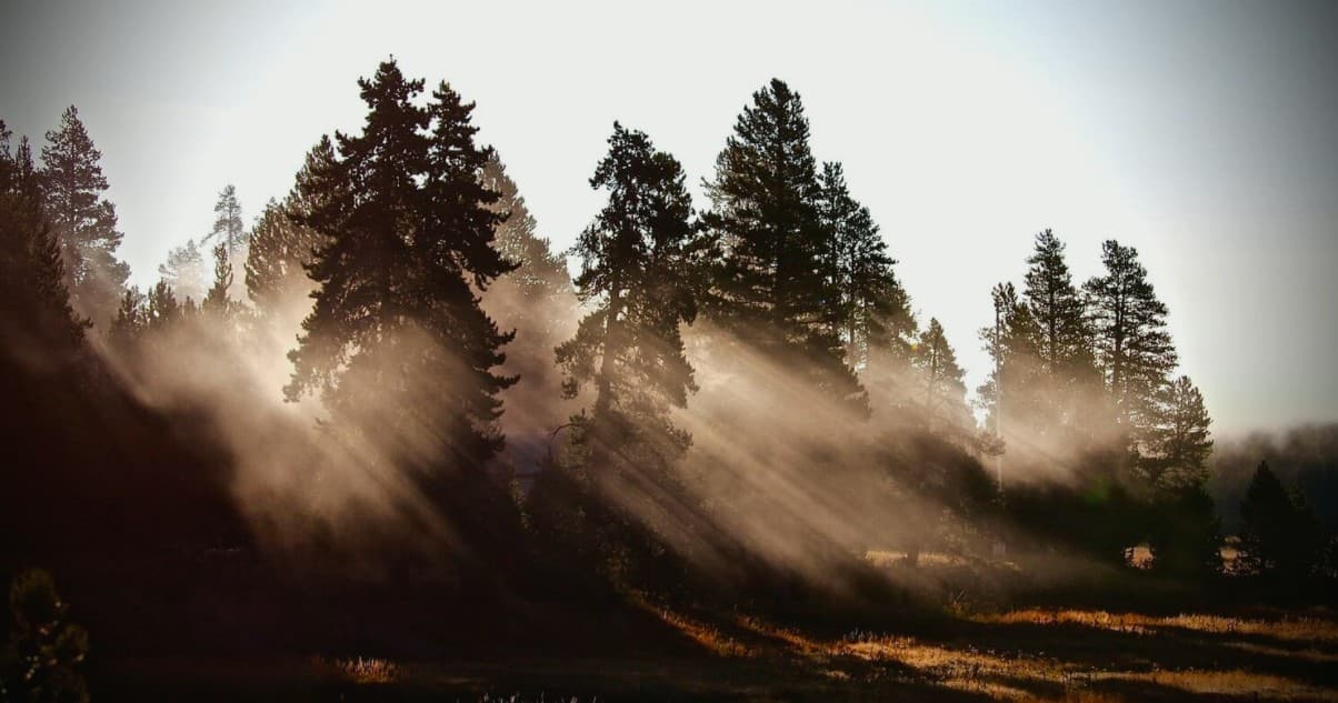 Yellowstone Journey