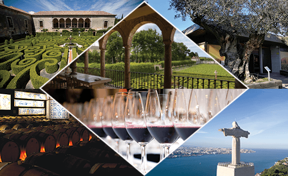 Vinho Península de Setúbal | 2 adegas com degustação de vinhos 8/9 Horas