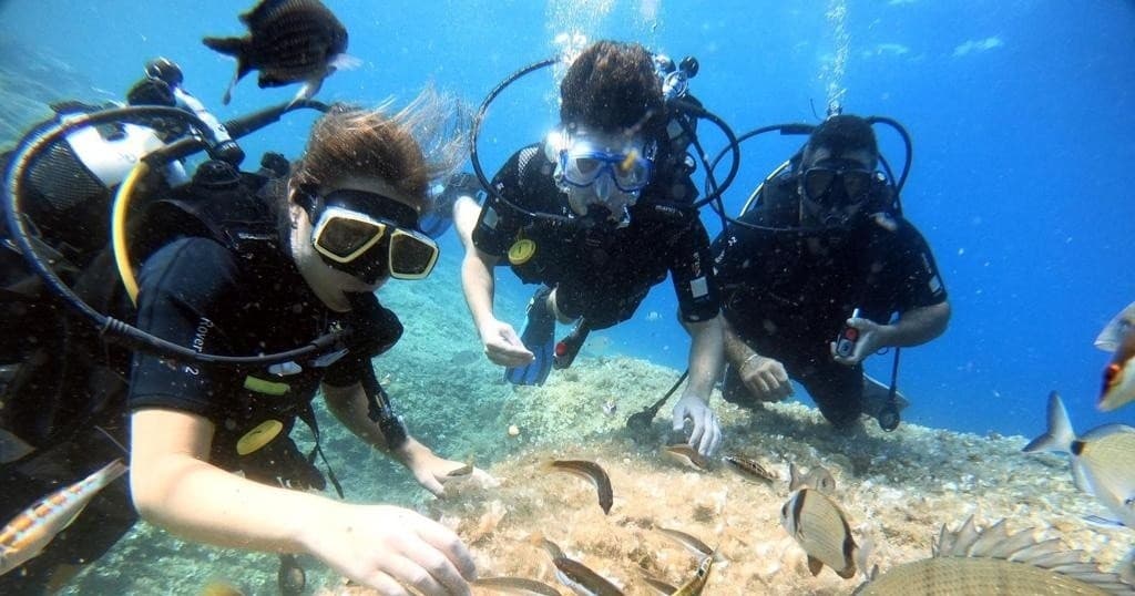 Full day diving