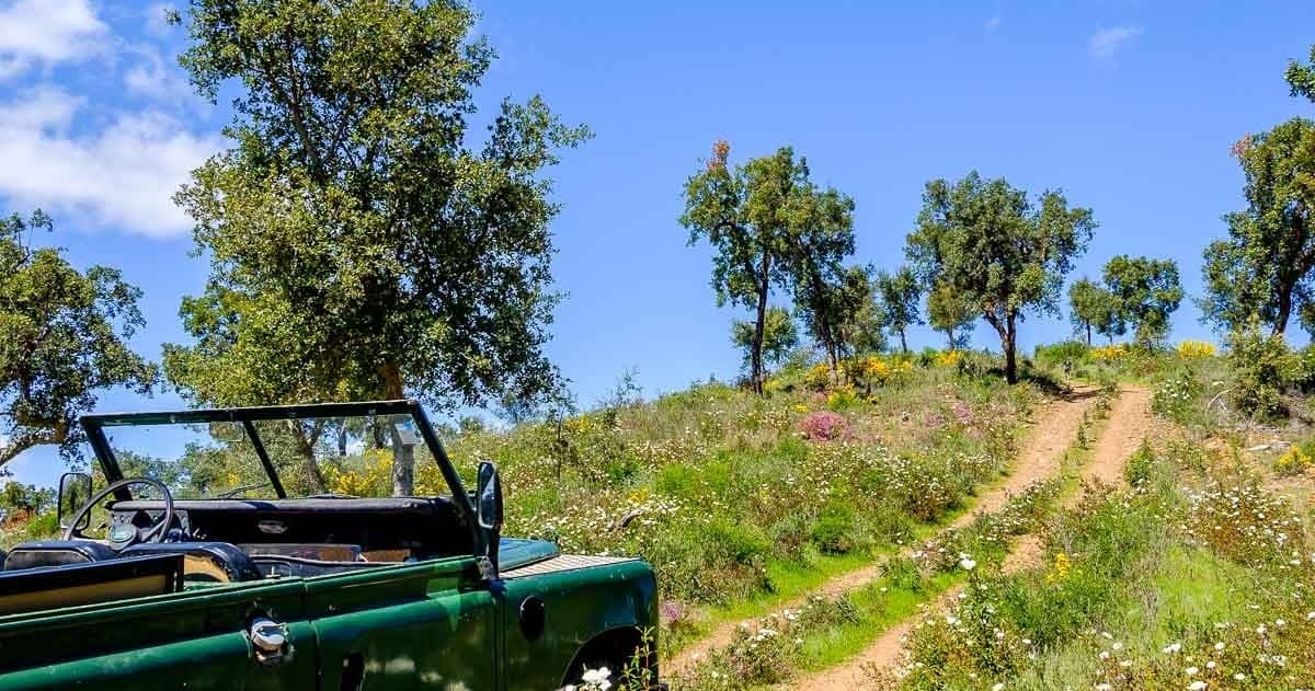 Cork Jeep Tour