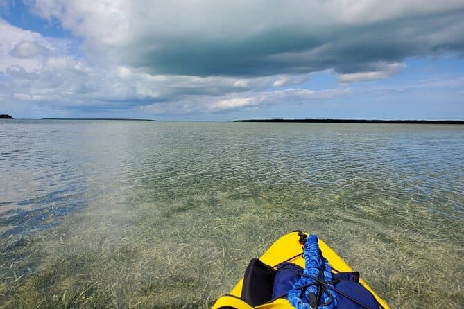Wild Lime Adventures™ Full-Day Hiking and Paddling Tour in Everglades National Park (Tour 5)