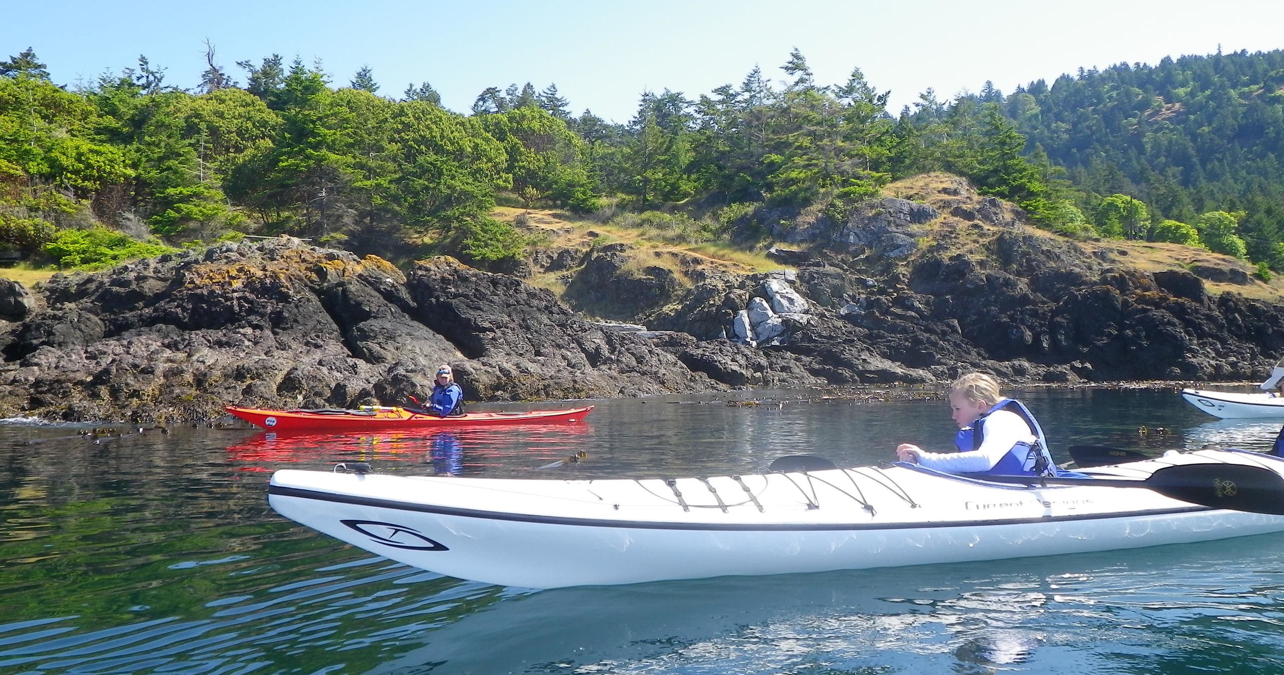 Half Day Kayak Tour Port of Friday Habor