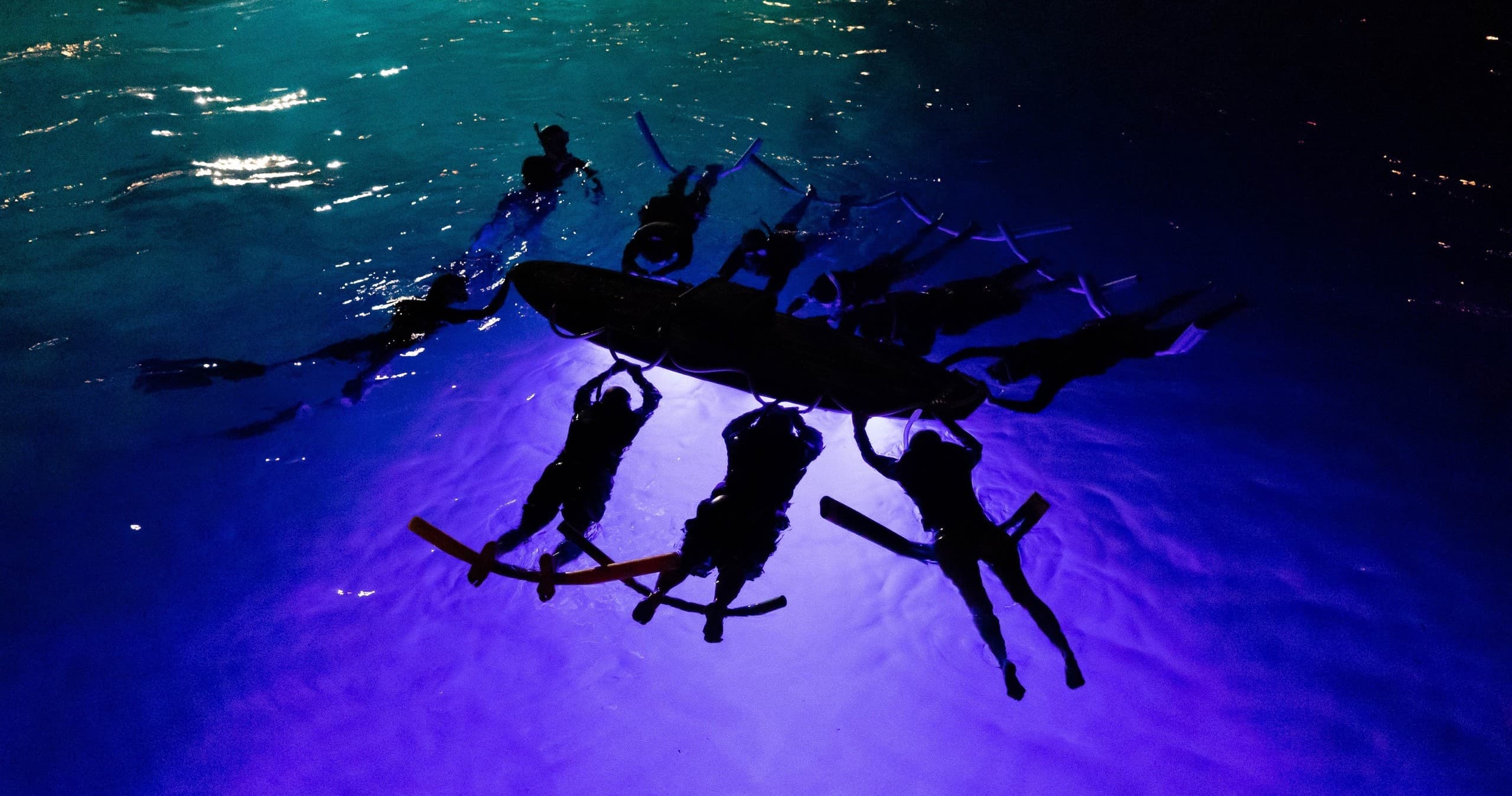 Night Manta Snorkel