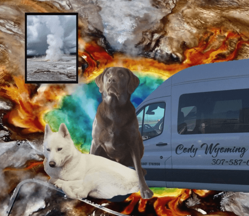 Private “Pet Friendly” Yellowstone Wildlife and Photo Upper Loop Tours Up To 6 Guests!