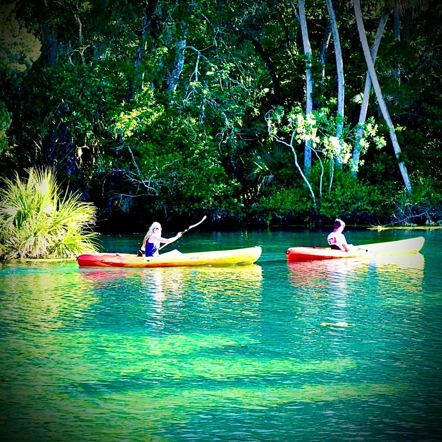 Paddle Board Rental