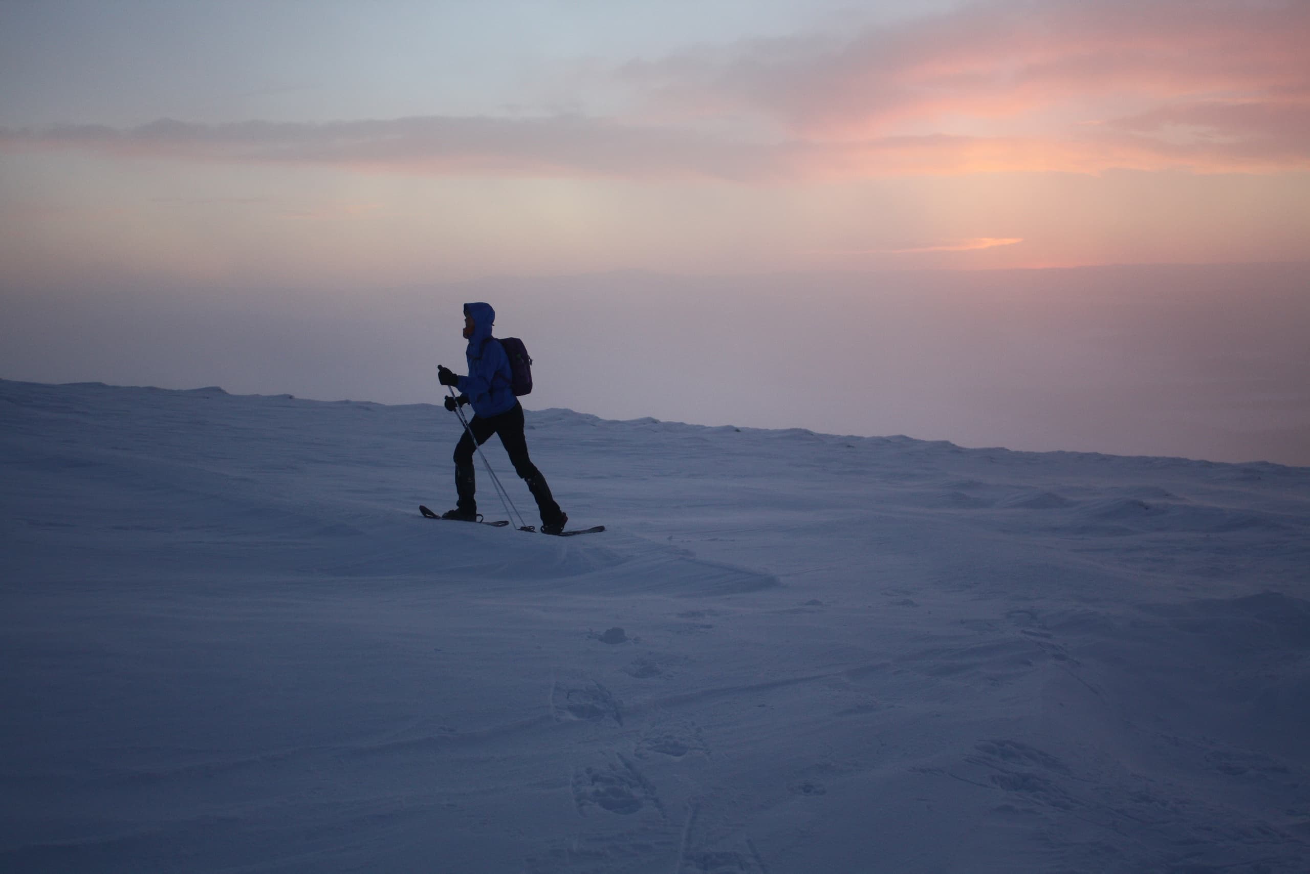 Arctic Adventure with Snowshoes (2h)