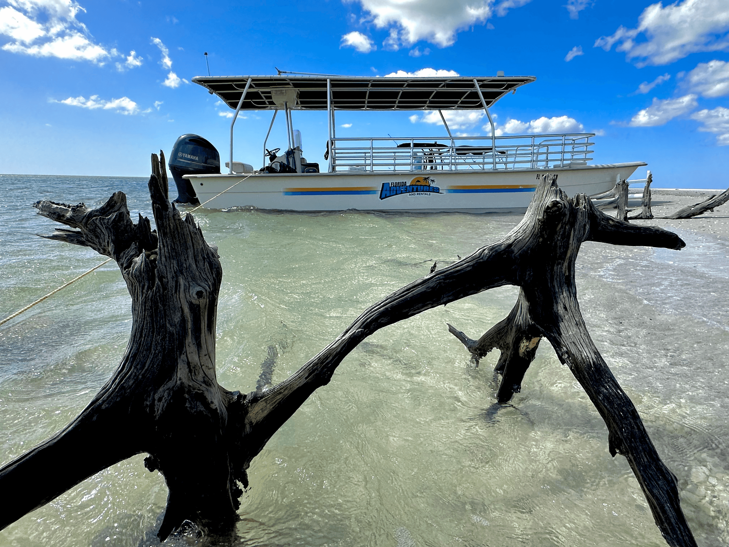 2 Hour Private Tour