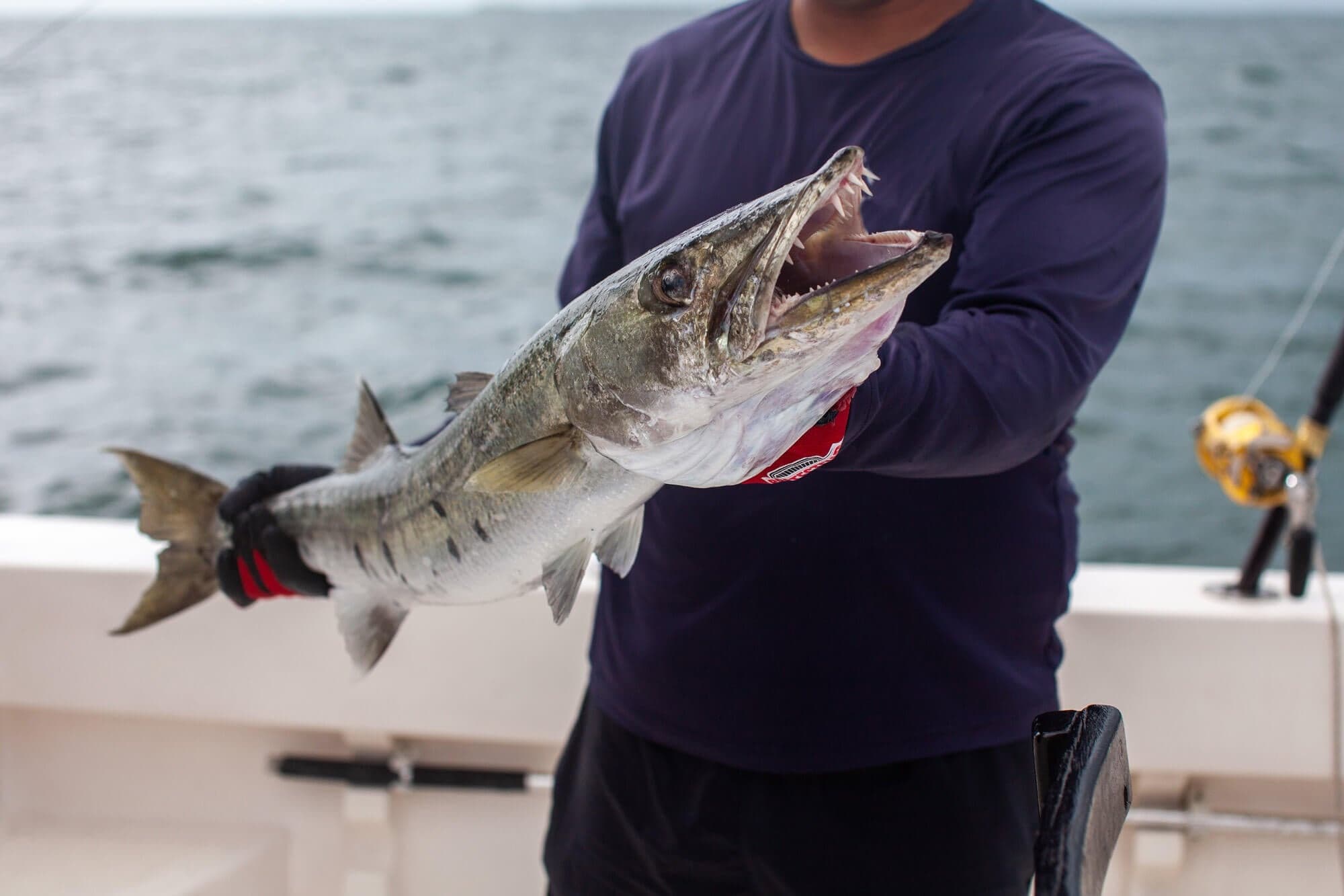 Nearshore Fishing Charter