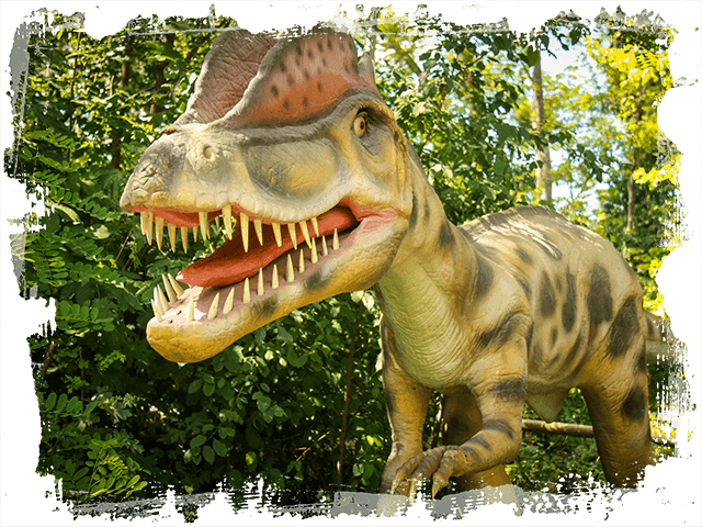 Eintritt zu DINO