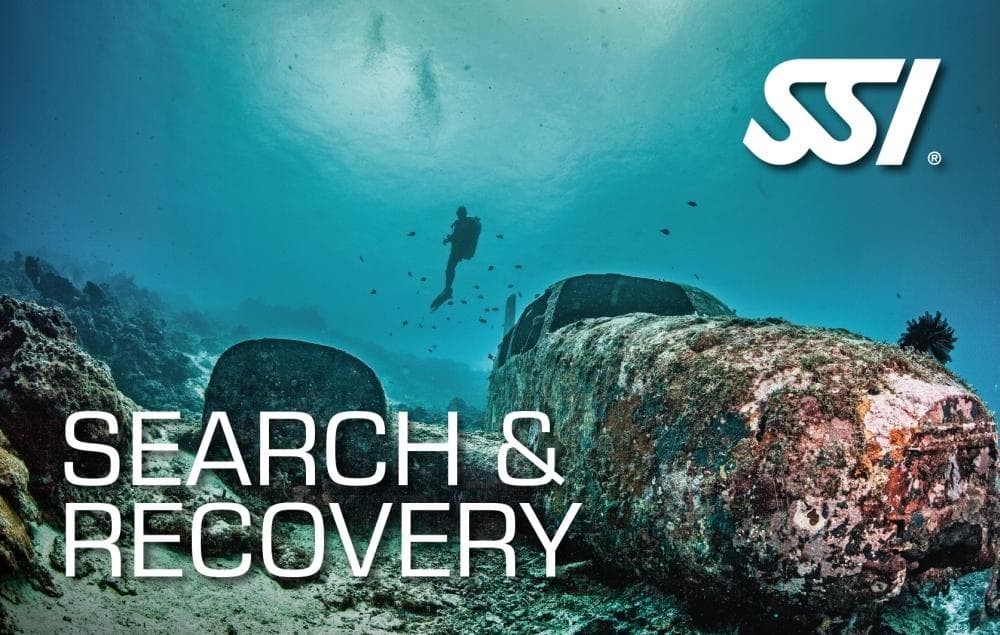 SSI SEARCH & RECOVERY