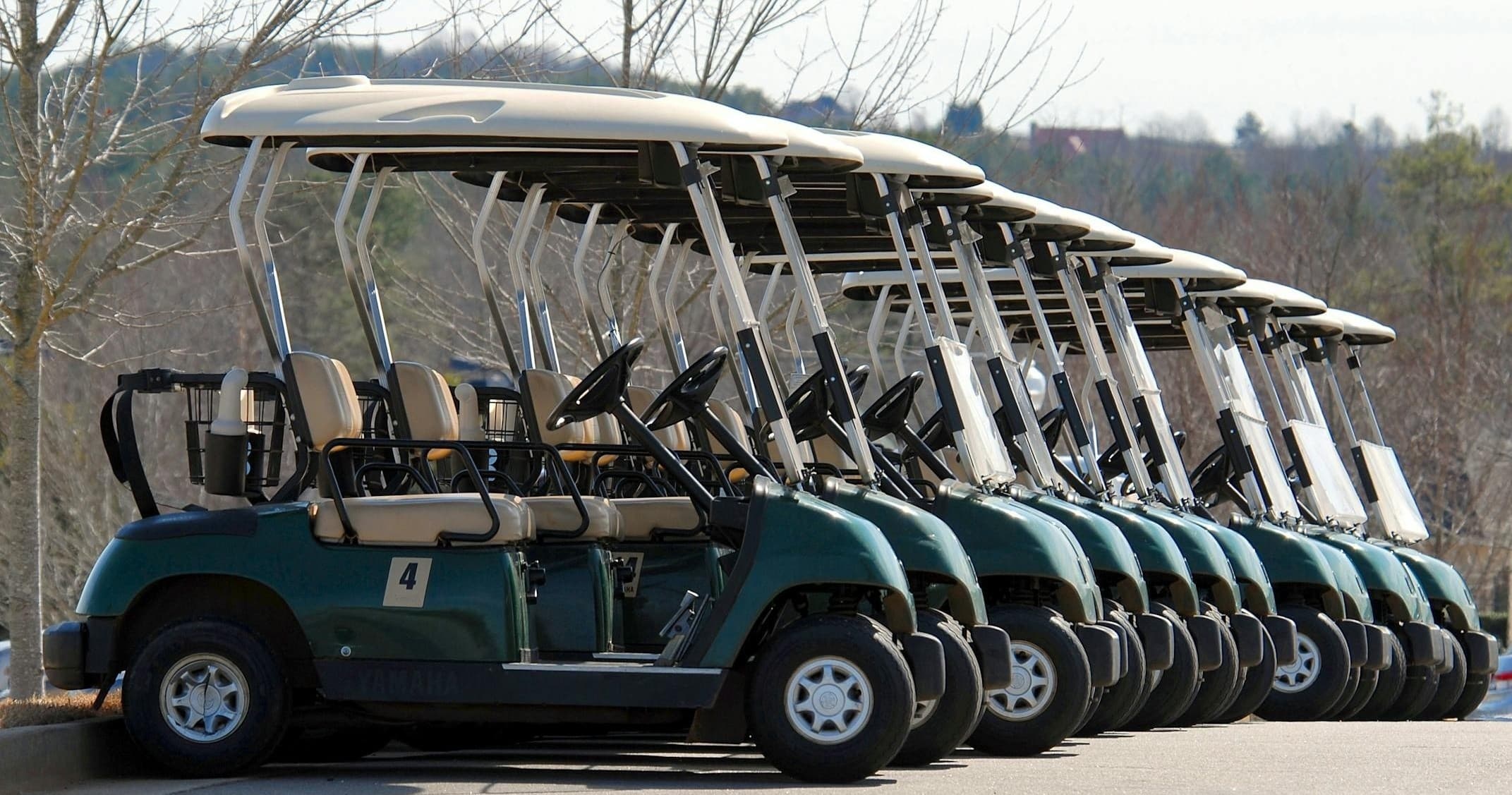 Golf Cart Rentals