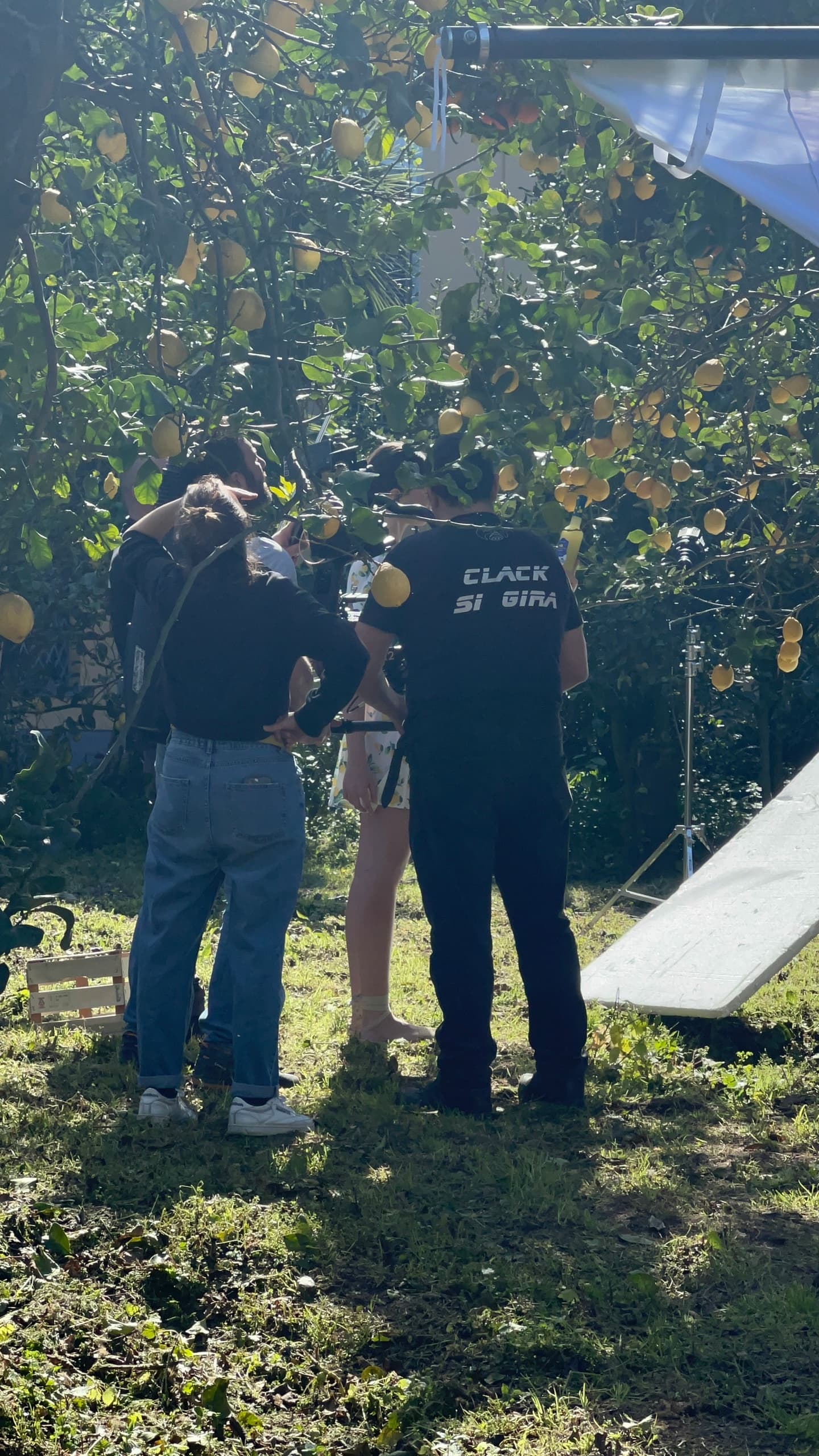 Photo shooting in the lemon grove