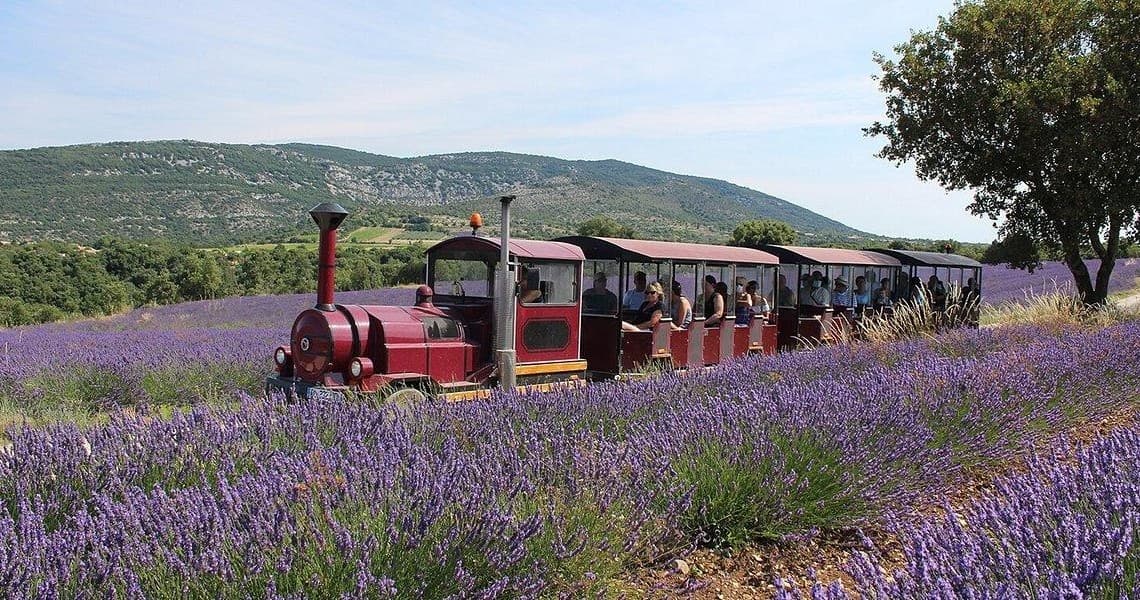 Visite (Petit Train inclus)