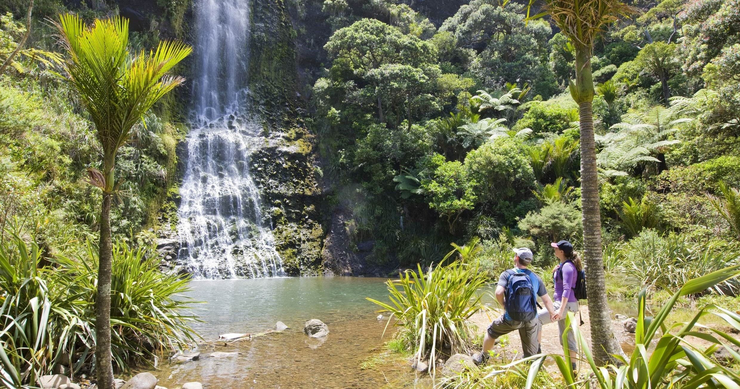 Rotorua to Auckland via Hobbiton Movie Set One-Way Private Tour