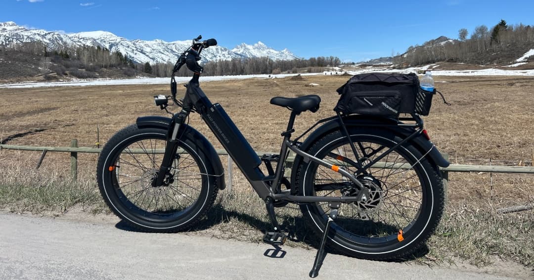 Rad Rover Step Thru Fat Tire E-Bike Rental with Throttle