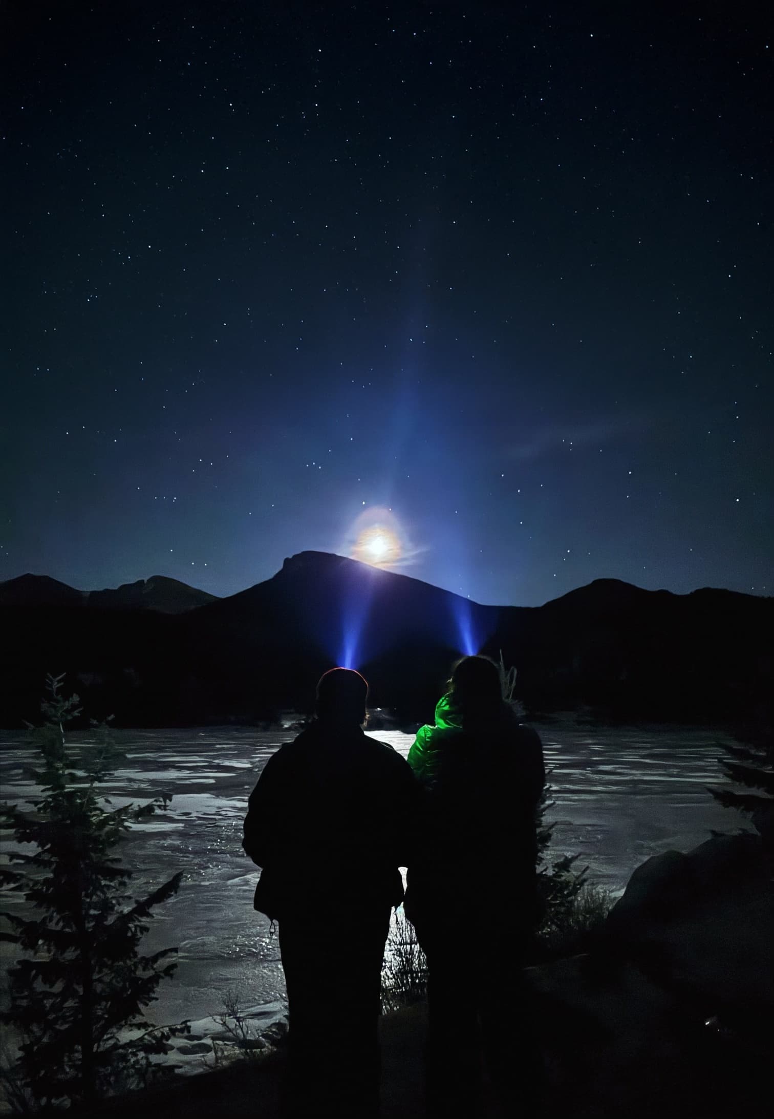 Stargaze