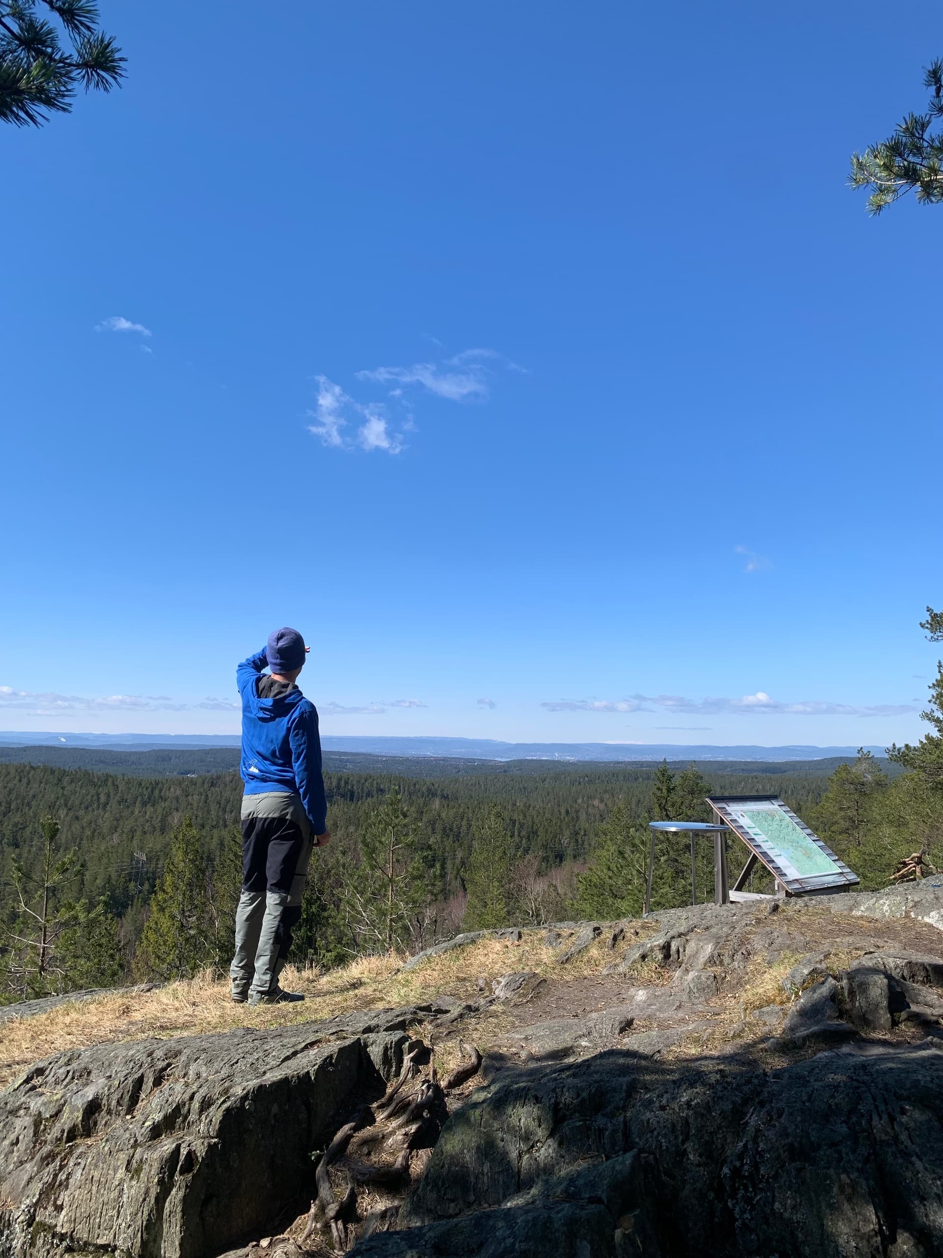 Hiking in Østmarka National Park
