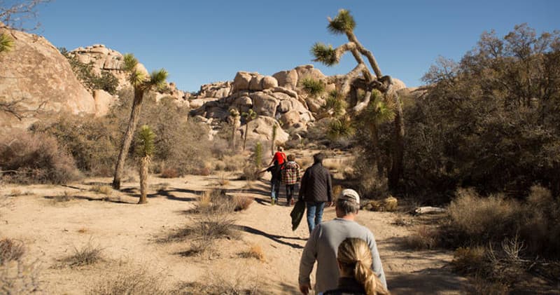 Joshua Tree National Park Tour