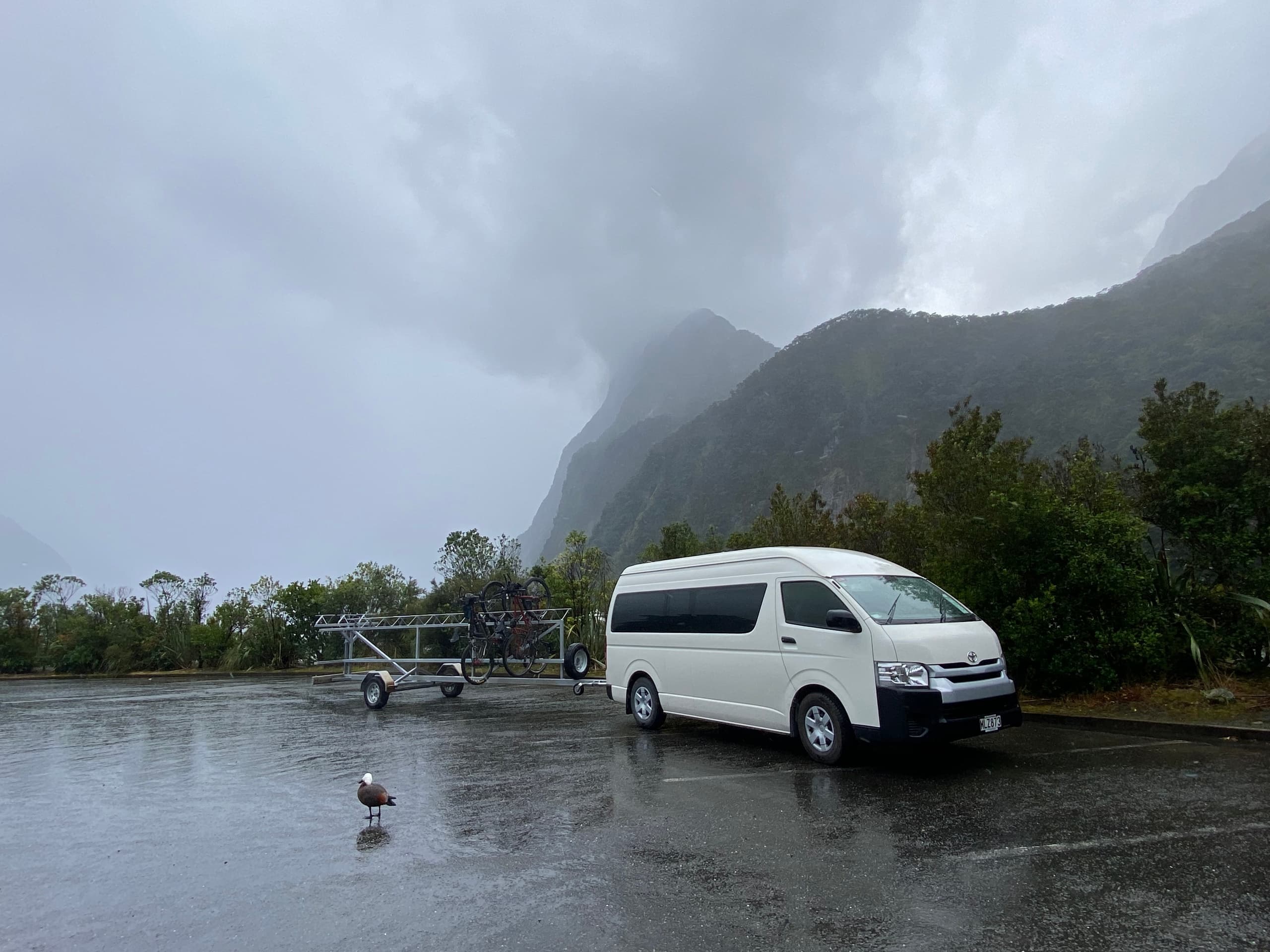 Milford Sound to Te Anau