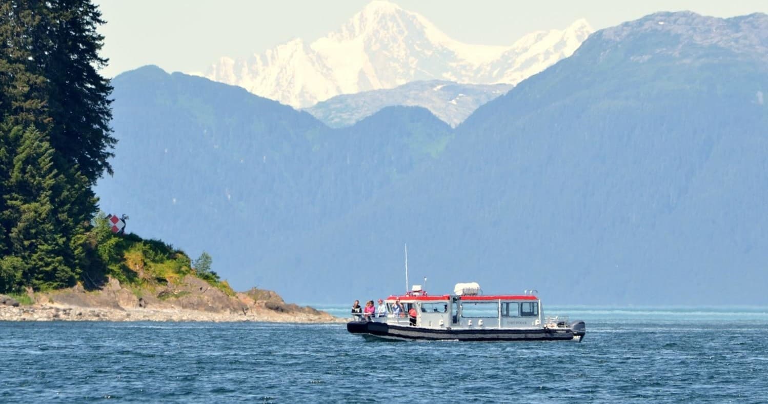 Guaranteed Whale Watching