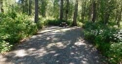 Camp Site 53