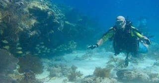 Finz Night Dive - Private