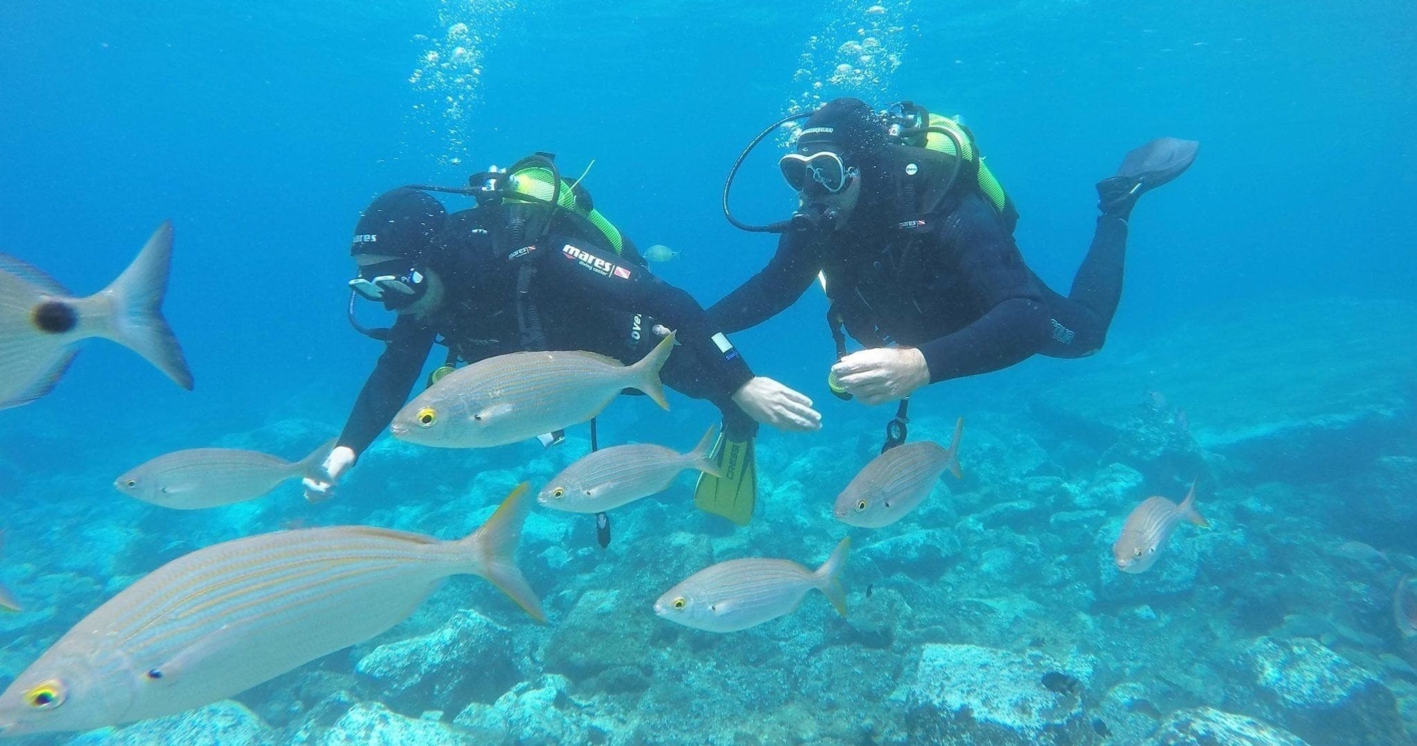 Curso Open Water