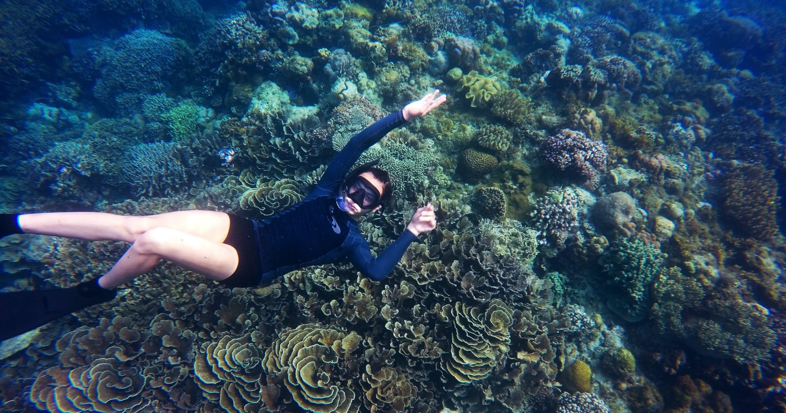 Reef Snorkeling Adventures