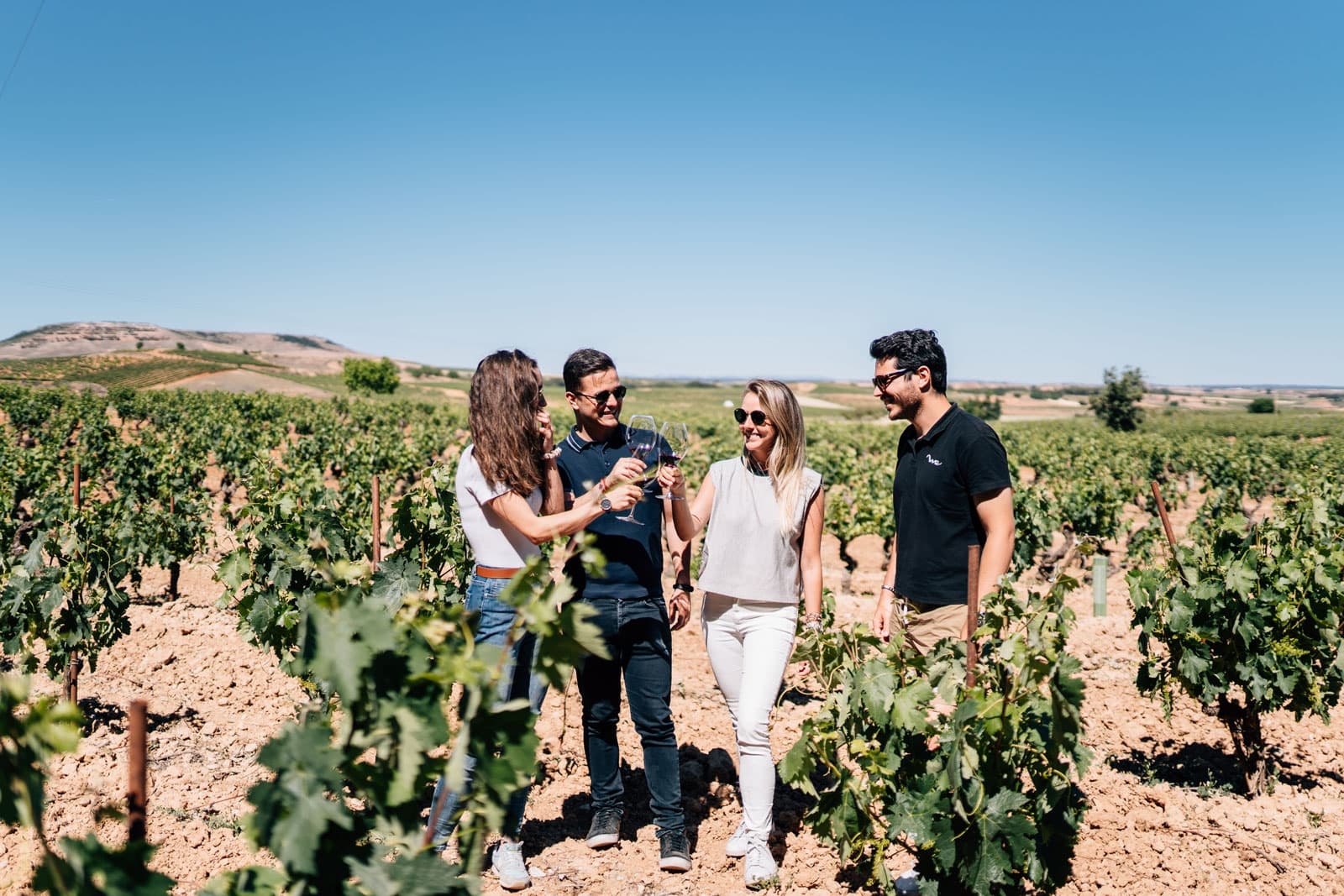 Ribera del Duero Winery and Segovia Tour from Madrid