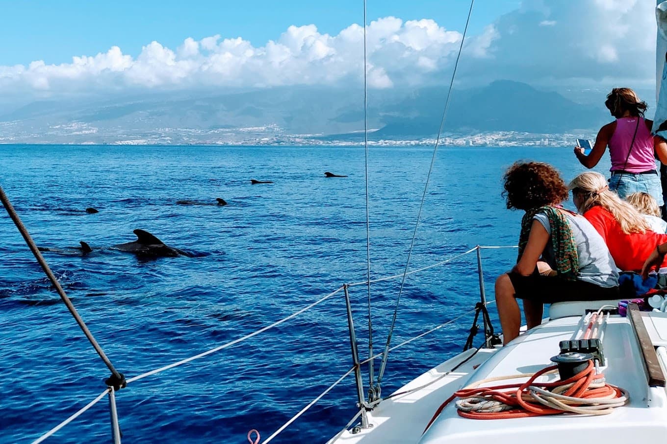 Avistamiento de ballenas