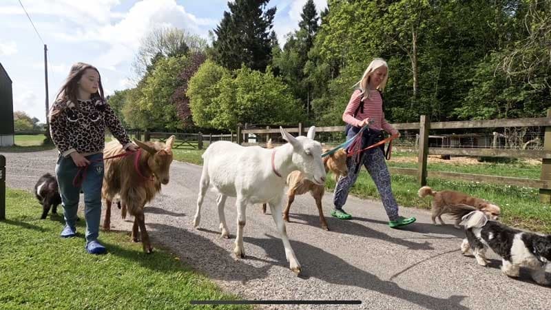 Private Goat & Sheep Walk