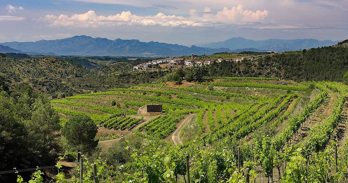 Priorat Day Trip: Countryside and Wine Tasting
