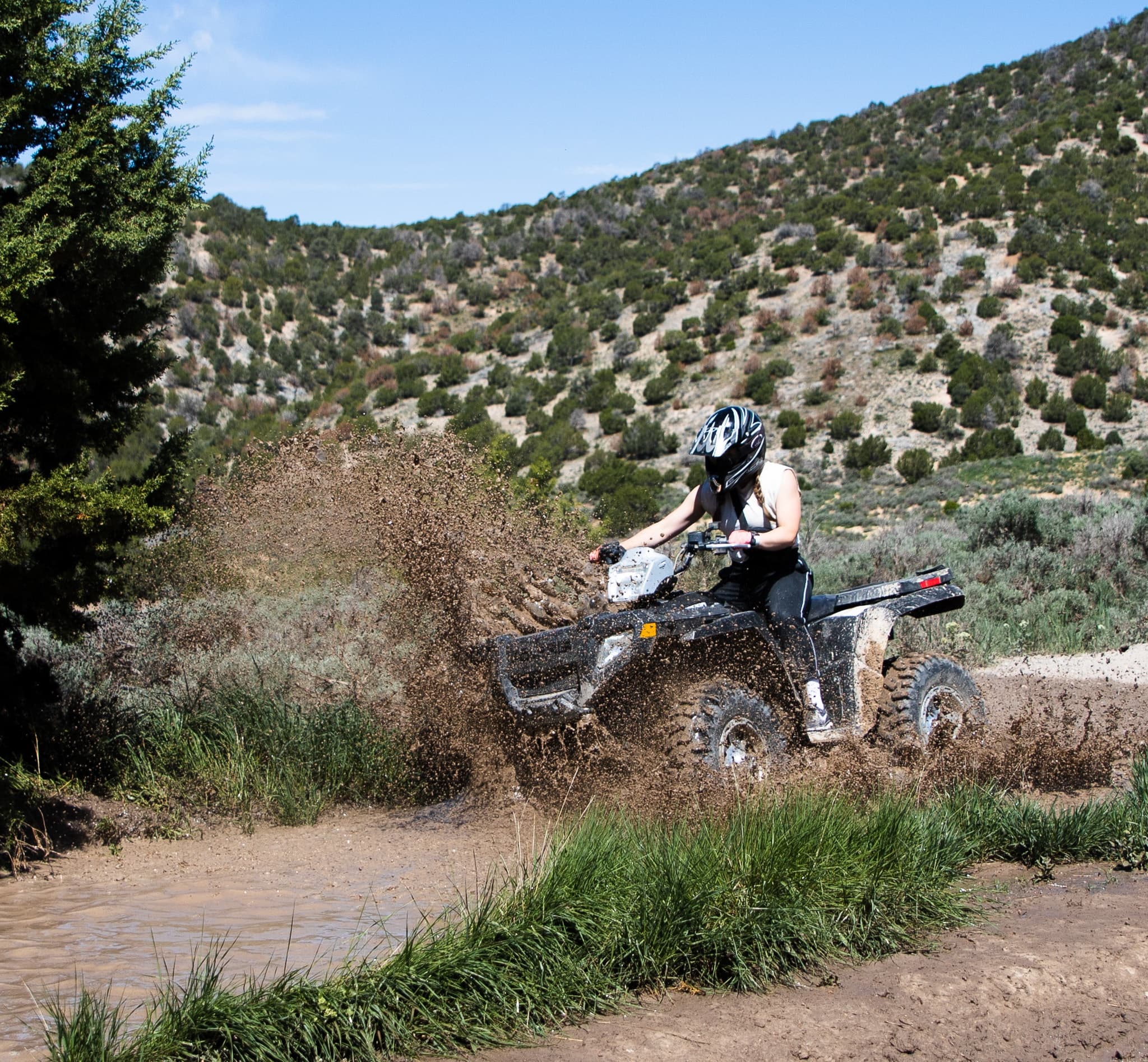 4 Day Rentals